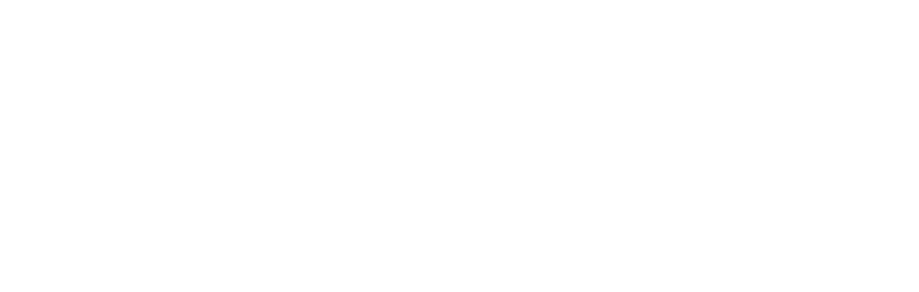 Logo weiss